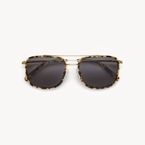 Amelia Sunglasses in Dark Tortoise