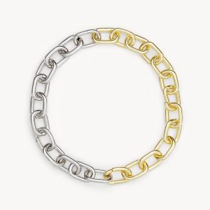 Interchangeable Link Necklace in Gold and Silver Split