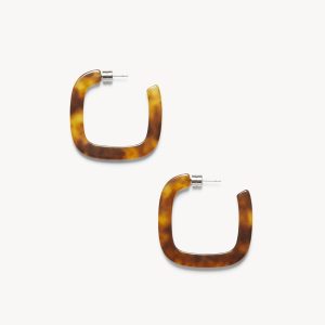 Midi Square Hoops in Modern Walnut